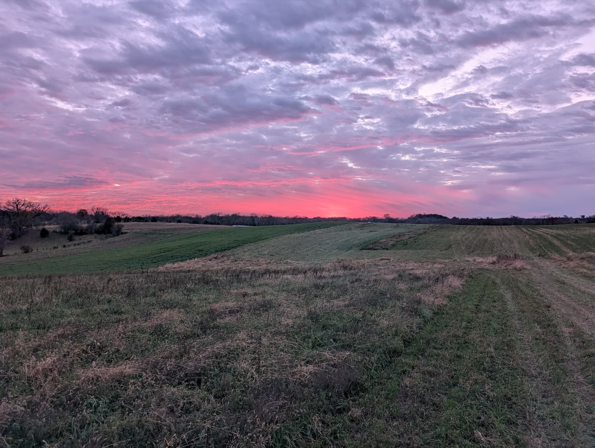 Grazeful Acres farm landscape at sunset