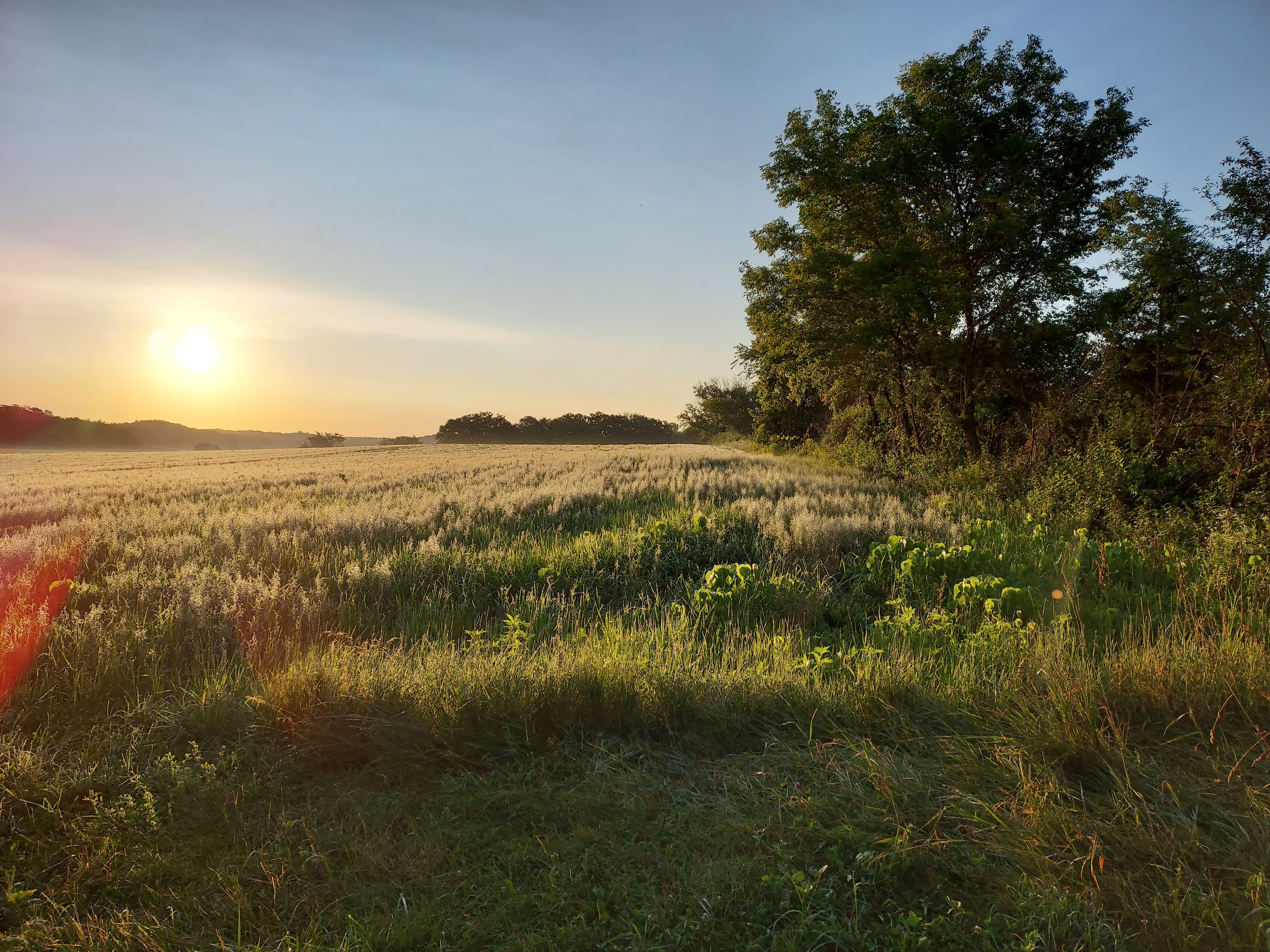 Beautiful sunset view from Grazeful Acres farm in River Falls, Wisconsin