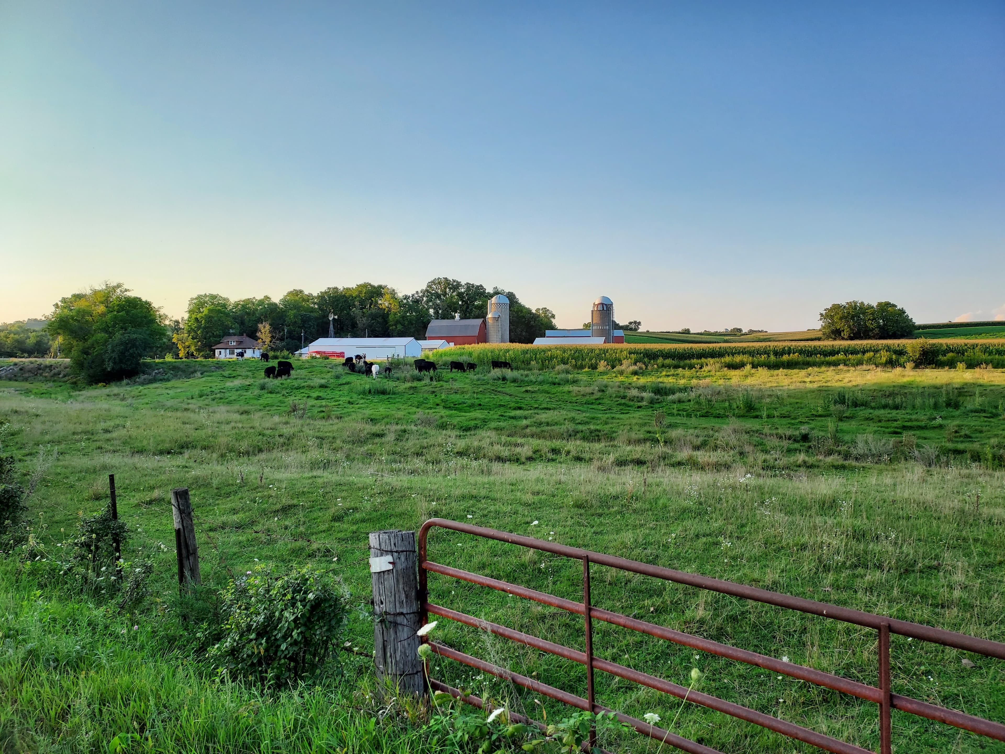 Grazeful Acres farm with red barn, silos and pasture